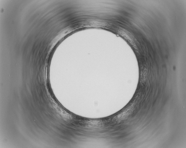 X0000086921130200705071321