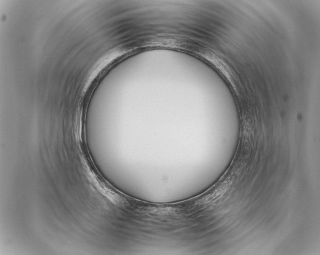 X0000086921131200705071321