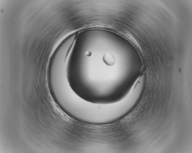 X0000086921132200705071321