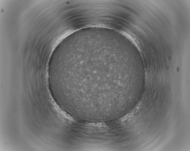 X0000086921133200705071321