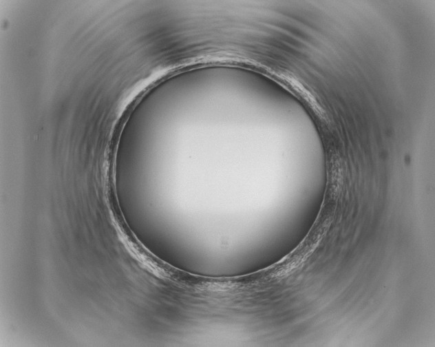 X0000086921134200705071321