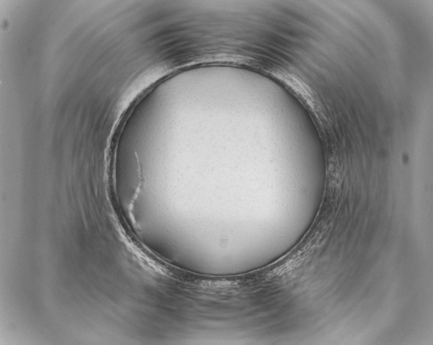 X0000086921135200705071321