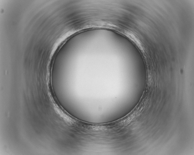 X0000086921136200705071321