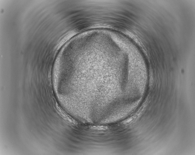 X0000086921137200705071321