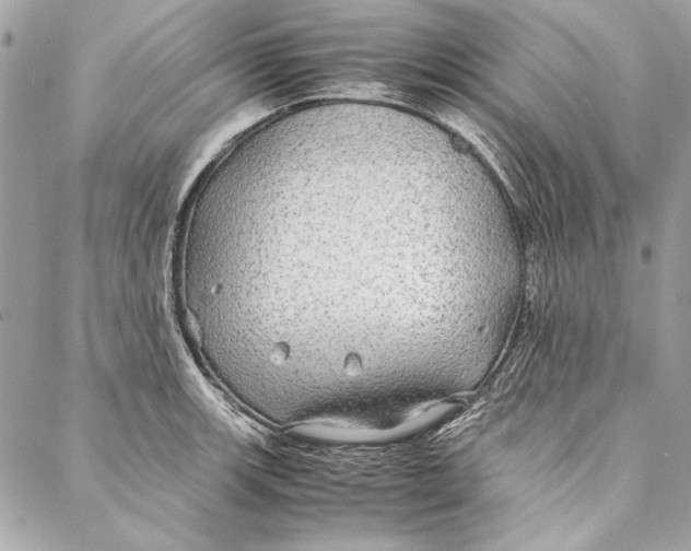 X0000086921139200705071321