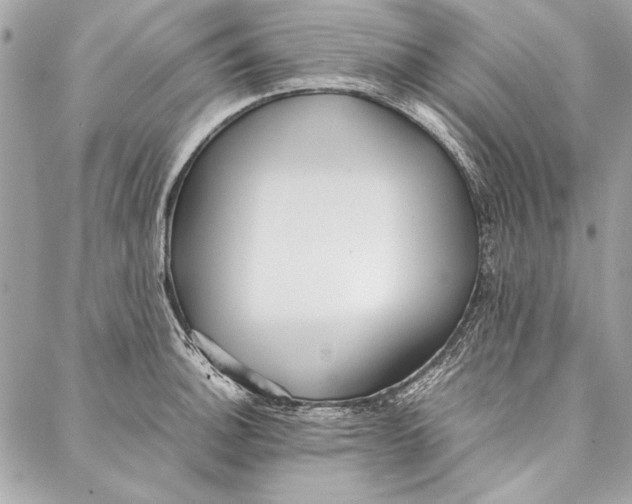 X0000086921140200705071321