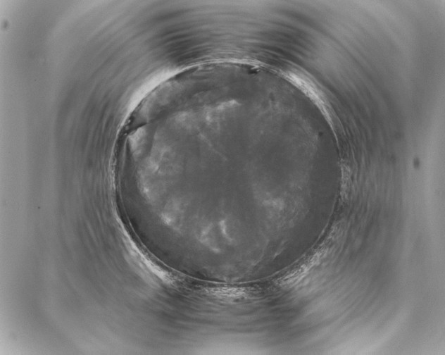 X0000086921141200705071321