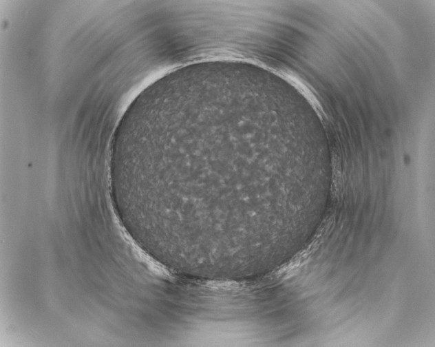 X0000086921142200705071321