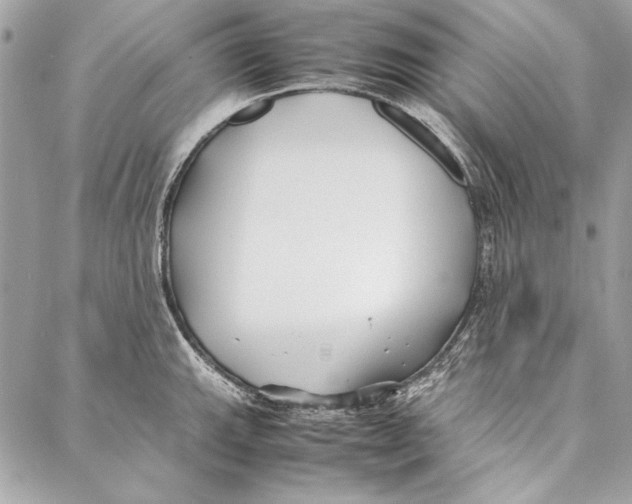 X0000086921143200705071321