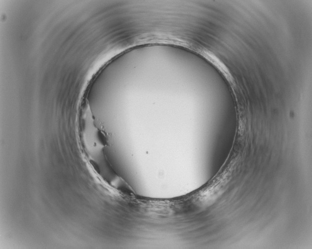 X0000086921144200705071321