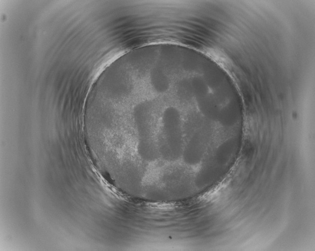 X0000086921145200705071321