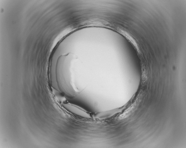 X0000086921146200705071321