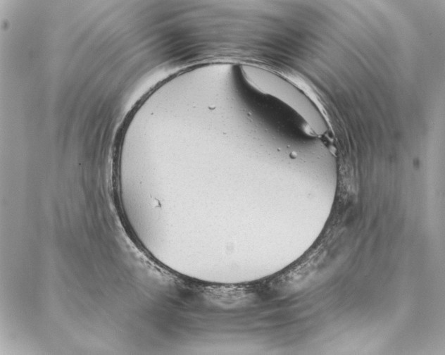 X0000086921147200705071321