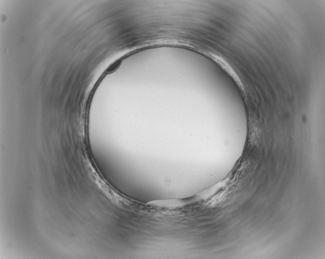 X0000086921148200705071321