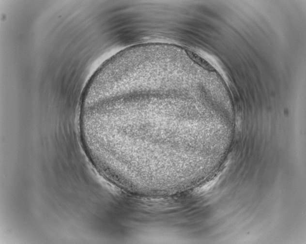 X0000086921149200705071321