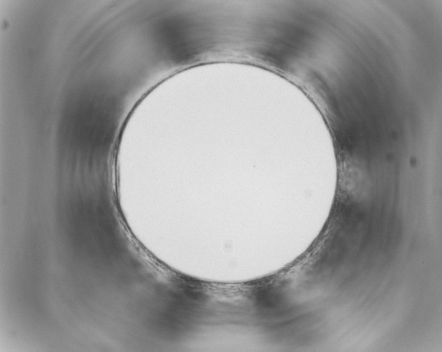 X0000086921150200705071321