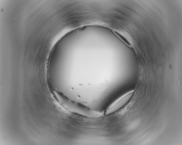 X0000086921151200705071322