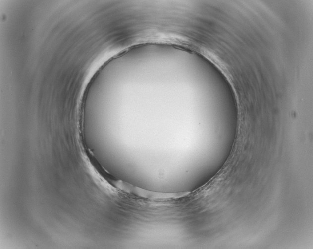 X0000086921152200705071322