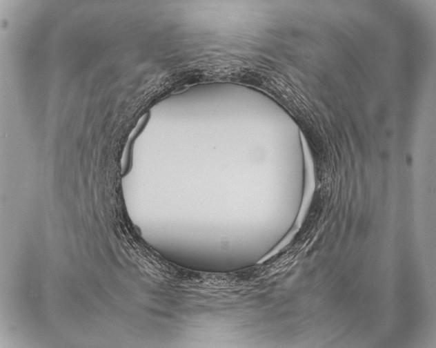 X0000086921153200705071321