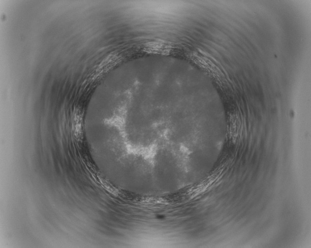 X0000086921154200705071321