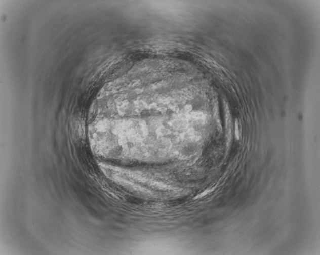 X0000086921155200705071321