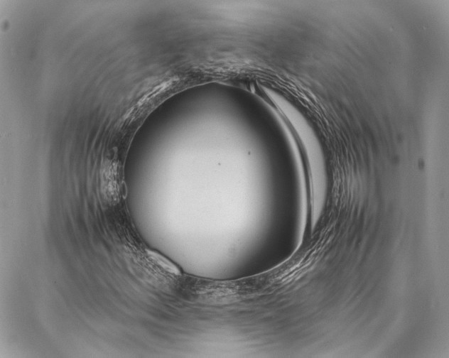 X0000086921156200705071321