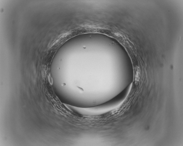 X0000086921157200705071321