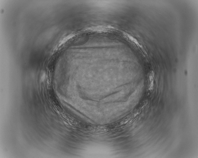 X0000086921158200705071321