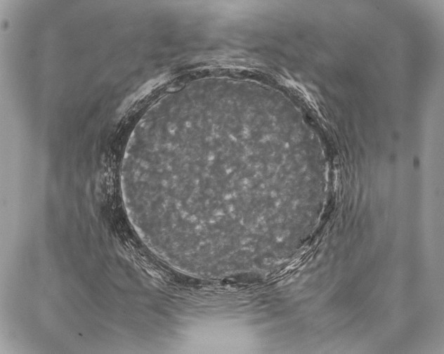 X0000086921159200705071321