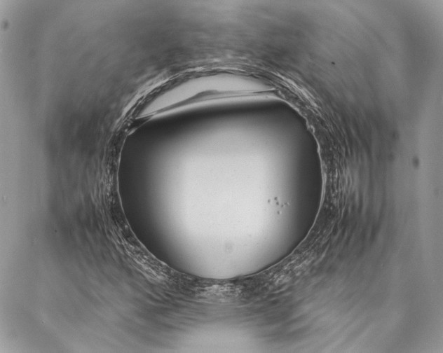 X0000086921160200705071321