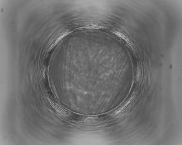 X0000086921161200705071321