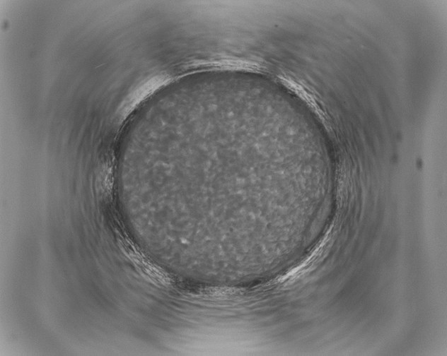 X0000086921163200705071321