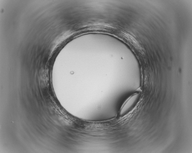 X0000086921164200705071321