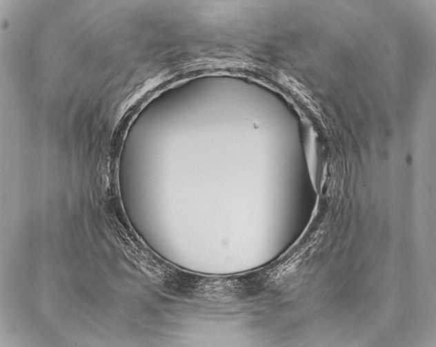 X0000086921165200705071321