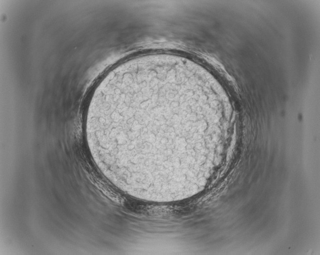 X0000086921167200705071321