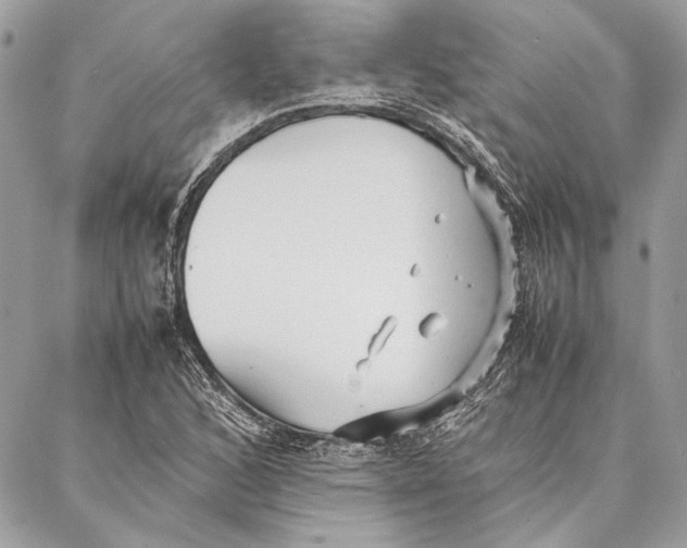 X0000086921168200705071321