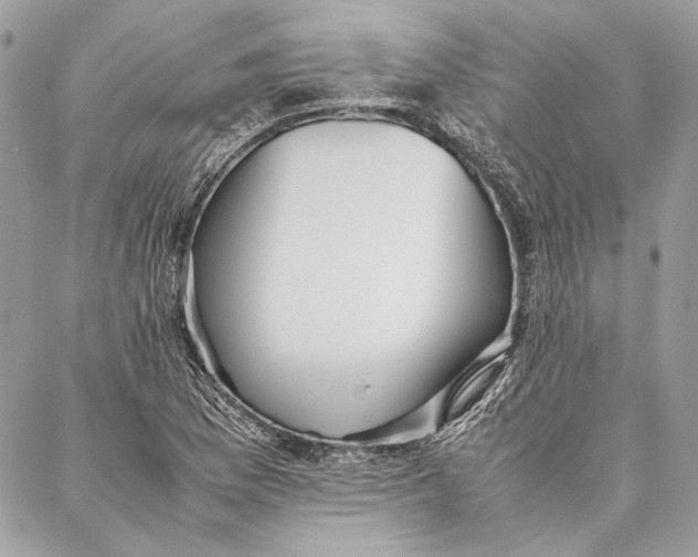 X0000086921169200705071320