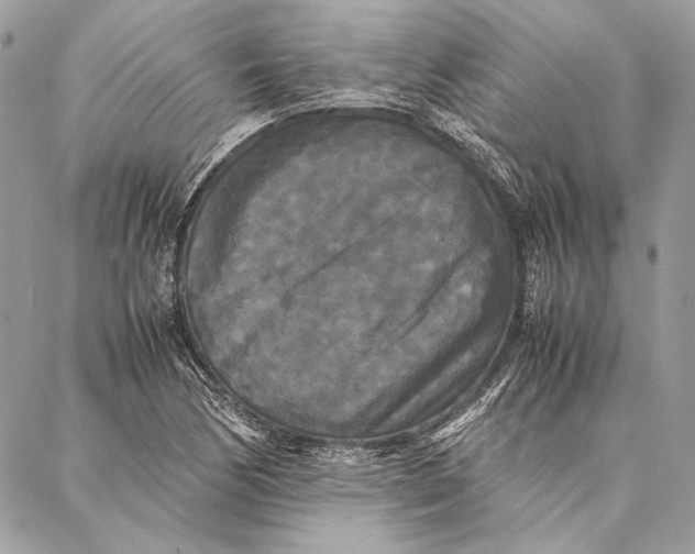 X0000086921170200705071320