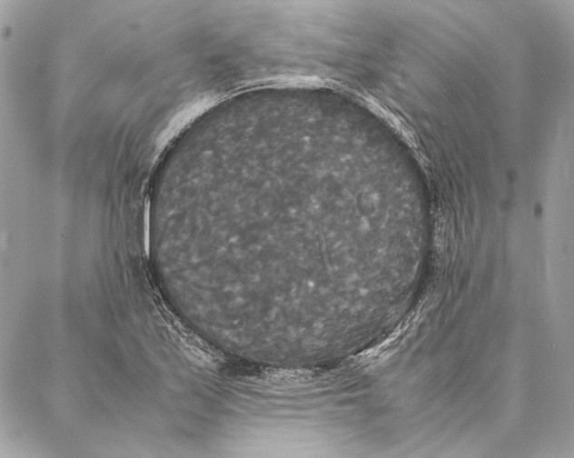 X0000086921171200705071320