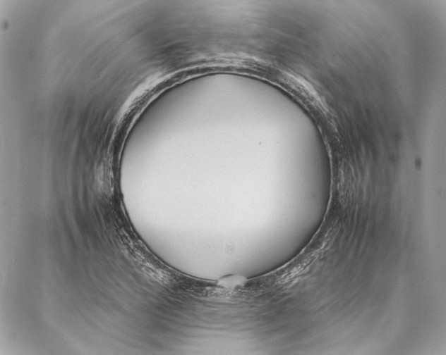 X0000086921172200705071320