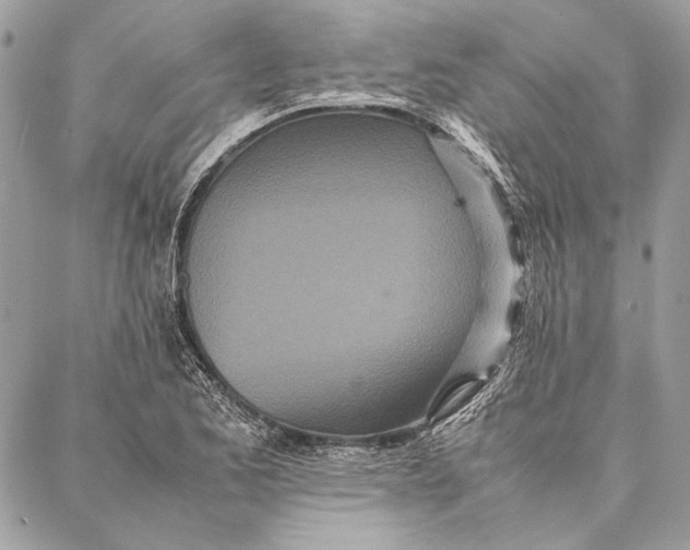 X0000086921173200705071320