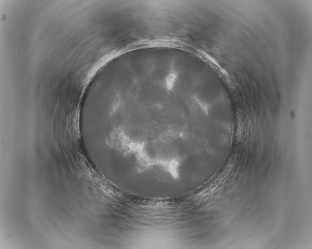 X0000086921174200705071320