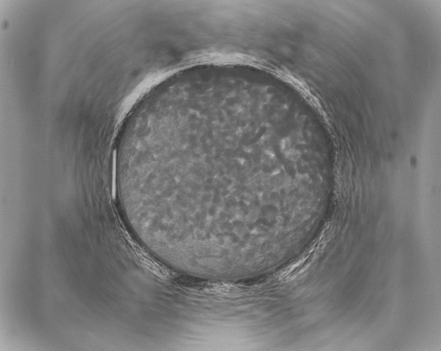 X0000086921175200705071320