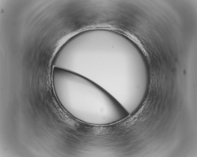 X0000086921176200705071320