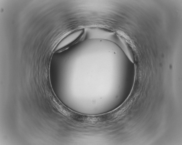 X0000086921177200705071320