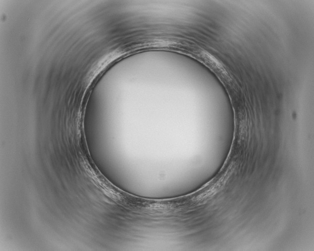 X0000086921178200705071320