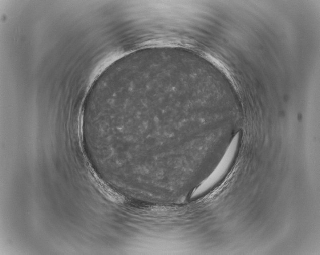 X0000086921179200705071320