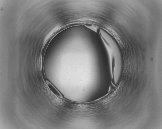 X0000086921180200705071320