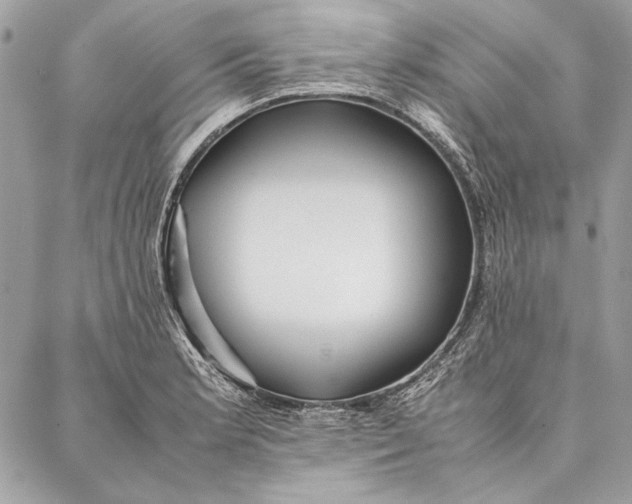 X0000086921181200705071320