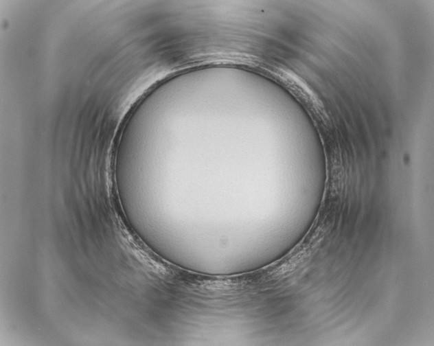 X0000086921182200705071320